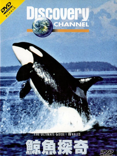 Discovery Channel - The Ultimate Guide Whales (1997) DvDrip DivX AC3 - MVGroup
