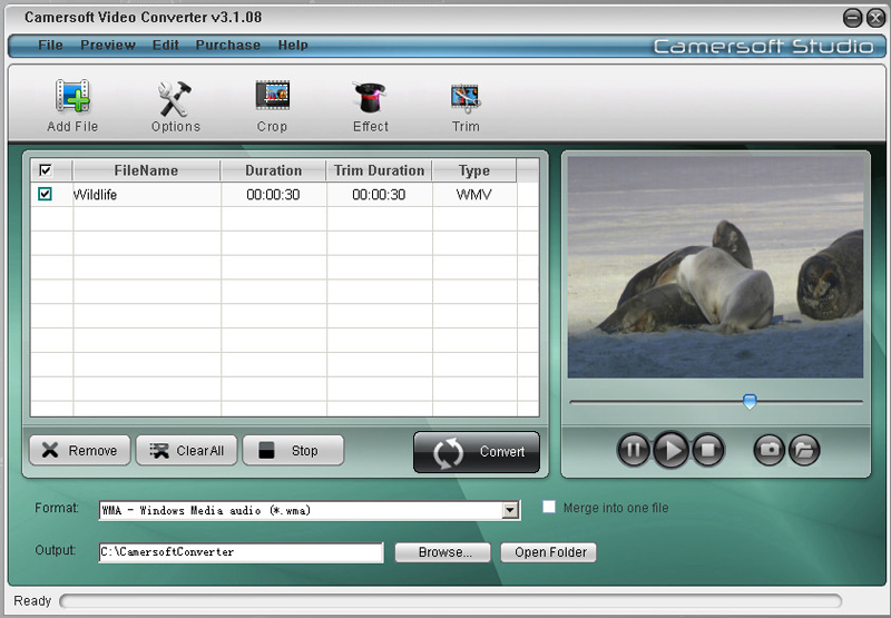 Camersoft Video Converter 3.1.08