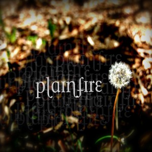 PlainFire - The Stronger We Have Grown (2012)