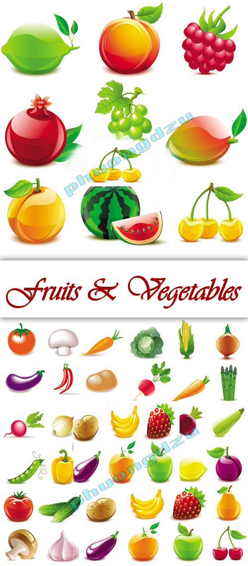 Glossy Color Fruits & Vegetables Vector
