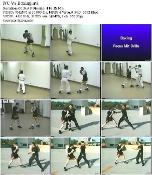 Сравнение Вин Чунь и Бокса (2010) DVDRip