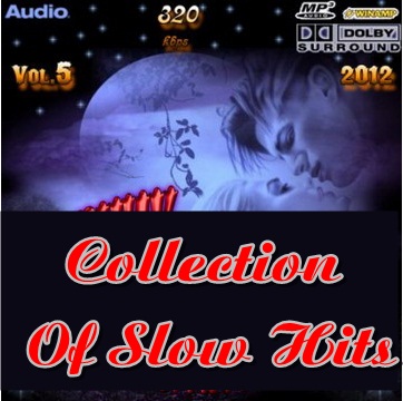 VA - Collection Of Slow Hits Vol.5 (2012)