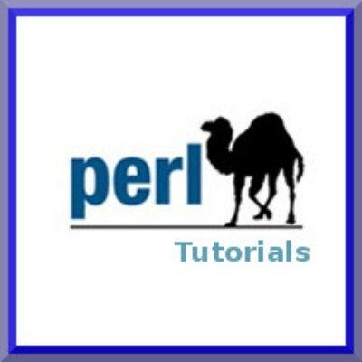 ScriptSocket - Perl Tutorial (2009)
