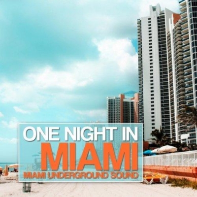 VA - One Night in Miami Miami Underground Sound (2012)
