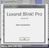 LUXAND BLINK! PRO 2.4 + RUS (2012)