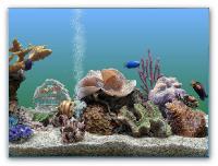 SereneScreen Marine Aquarium 3.2.6 (Скринсейвер)